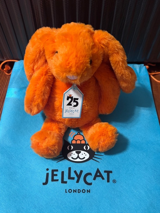 Jellycat Other - NWT Jellycat 25th Anniversary Retired, Rare Medium Bashful Luxe Amberly Bunny